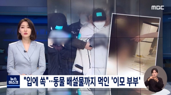 지난 6월 8일 방송된 MBC '뉴스데스크' 화면 갈무리.