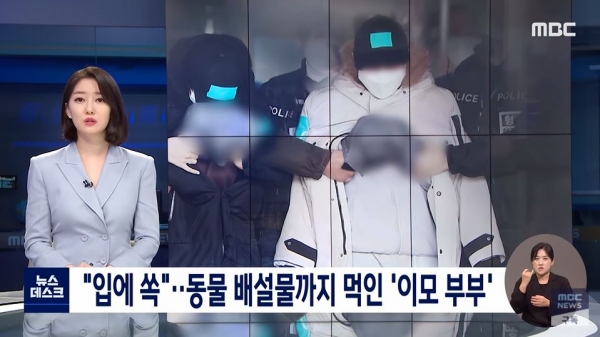 지난 6월 8일 방송된 MBC '뉴스데스크' 화면 갈무리.