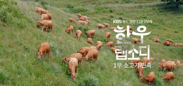 이달의 독립PD상을 수상한 KBS '한우랩소디'.