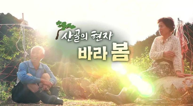 KBS 다큐온 '산골의 현자, 바라봄' 