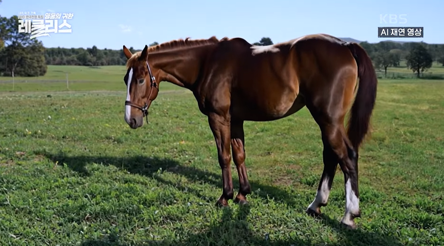 KBS 제주방송총국이 지난 6일 방영한 '영웅의 귀환, 레클리스'