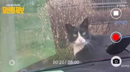 '당신의 제보' 영상 갈무리. 